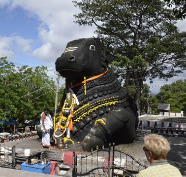 Chamundi Hill, Mysore_DSC4680_H600